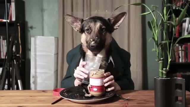 Odin Eating Like a Person