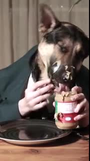 Odin Eating Like a Person